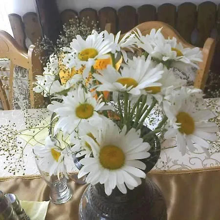 Casa Dobrescu Pensiune *